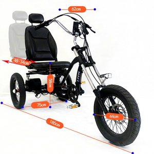 Vélo couché 16 pouces avec <span class=keywords><strong>assistance</strong></span> électrique, moteur arrière, haute vitesse, pour <span class=keywords><strong>adulte</strong></span>, <span class=keywords><strong>tricycle</strong></span> à pédales de forme personnalisée - Product Image 3