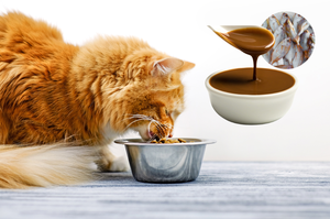 Potenciador de sabor de alimentos para mascotas para todo tipo de mascotas disponible en una variedad de sabores al por mayor - Product Image 6