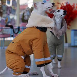 Combinaison de <span class=keywords><strong>neige</strong></span> imperméable ultra-épaisse en coton écologique pour <span class=keywords><strong>chien</strong></span> de race Greyhound italien - Product Image 3