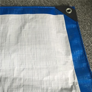 Pintores ampliamente utilizados en el mercado mundial Lona de pintura de cubierta de coche resistente de alta calidad de plástico - Product Image 6