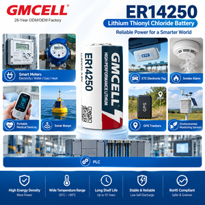 Batterie ER14250 personnalisée avec languettes à souder Li-SOCl2 1/2AA avec borne soudée pour compteur d'eau et de gaz - Product Image 5
