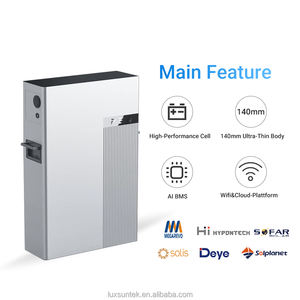 <span class=keywords><strong>Solaredge</strong></span> Batería de Litio PARA EL Hogar, Lifepo4, Powerwall, Almacenamiento Solar, 48V, 51,2 V, 100Ah, 200Ah - Product Image 2