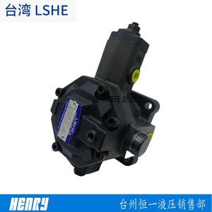 Pompe à aubes LSHE SVPF 15 20 30 40 55 70, pompe à huile hydraulique pour machines industrielles - Product Image 2