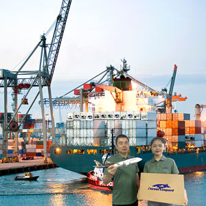 चीन से अमेरिकी कनाडा के लिए मुफ्त सीमा शुल्क निकासी फारवर्डर शिपिंग एजेंट - Product Image 2