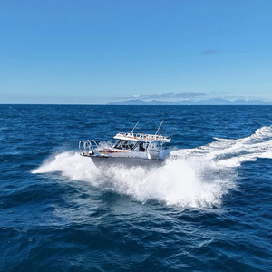 Barco de Recreo de Cabina Abierta para Pesca en Alta Mar, Embarcación Deportiva de Velocidad, Yate de Aluminio Seaking 770, Buena Relación Calidad-Precio - Product Image 1