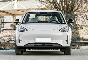 Geely <span class=keywords><strong>Galaxy</strong></span> Star Wish 2026 Edición Comfort 410km - Product Image 4