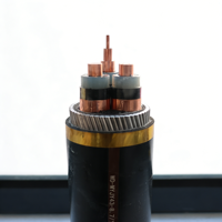 Câble minier sans halogène à faible émission de fumée WD-MYJY43 8.7/10kV |   Résistant aux flammes, résistant à l'usure pour les mines souterraines de charbon