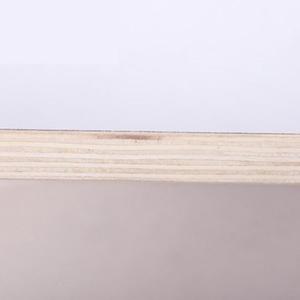 Planche d'équilibre en bois antidérapante pour adultes et enfants, pour l'entraînement au skate et au surf - Product Image 3