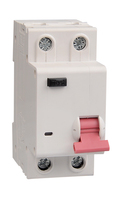 Disjoncteur HOQele DZ30-LE TPNL à boîtier moulé 230V 2P Mini en plastique pour usage domestique, capacité de coupure 4kA, 50/60Hz, courbe C, montage sur rail DIN