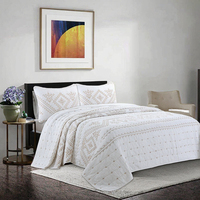 Ensemble de literie de luxe en coton lavé réversible brodé pour lit king-size, blanc, 3 pièces, pour toutes les saisons, 300 fils