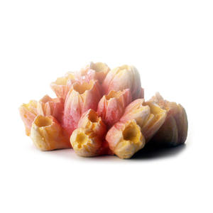 Decoración de Acuario con Planta de <span class=keywords><strong>Coral</strong></span> Artificial, Adorno para Pecera, Resina Artificial, Colorido, Pequeño, Diseño de Castillo de Dibujos Animados - Product Image 3