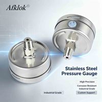 Manomètre hydraulique de haute précision pour la mesure de la pression, avec raccord inférieur NPT BSP