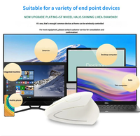 Fabrieksfabrikant Plastic Ergonomische Verticale 6-Knops Optische Draadloze Computermuis Kantoormuis voor Polspijnverlichting