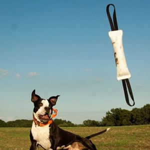 Juguete Masticable Anti-Mordeduras para Perros, de Algodón Ecológico, Duradero, para Entrenamiento de Agilidad, Cuidado Dental Suave, Estilo Moderno - Product Image 5