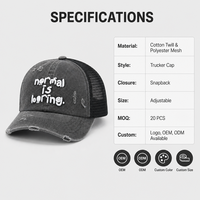 Gorras deportivas unisex de malla estilo streetwear con letras bordadas en relieve, de sarga de algodón lavada vintage, desgastadas, al por mayor, con cierre snapback