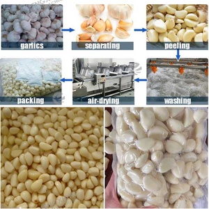 Ligne de production automatique d'ail : machine de séparation, d'épluchage, de lavage, de séchage à l'air et d'emballage de l'ail en Indonésie - Product Image 6