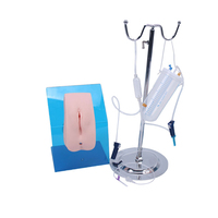 Modelo de entrenamiento médico para mujer, simulador de cateterización, enfermería