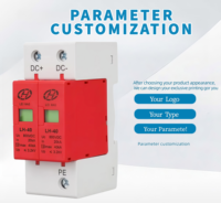 Dispositif de protection contre les surtensions 800V DC SPD 1000V 2P T1 T2 40kA Parafoudre pour systèmes solaires photovoltaïques Équipement photovoltaïque