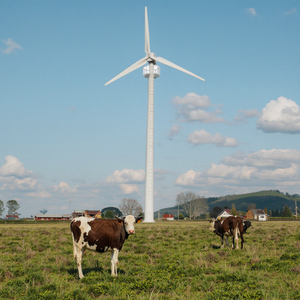 CE Certified High Efficiency 10KW Single Phase Wind <b>Generator</b> 20KW MPPT Wind Power With 5KW 220V 48V Windpower AR6.0-20KW Effici - Product Image 3