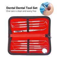 Ensemble de cure-dents 9 pièces Kit de cure-dents en fil dentaire portable Réutilisable en acier inoxydable Outils de nettoyage des dents