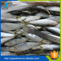 Différents types de poissons en conserve Meilleure conserve de sardines