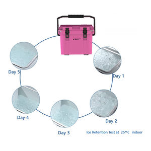 Nevera Portátil Aislada de 9.5L para Alimentos, Cerveza, Playa, Camping, Picnic, con Asa, para Vacunas, Plástico, Precio Bajo en Promoción - Product Image 6