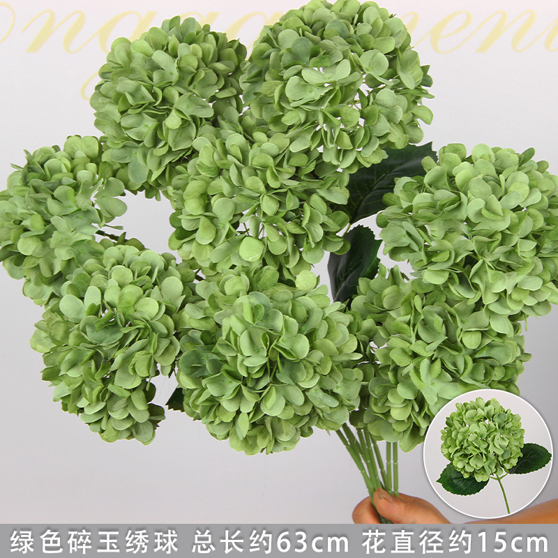 Hortensia vert avec feuillage