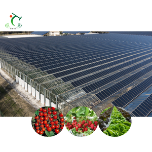 Gespecialiseerde Tomatenzaailingskas Met Mobiele Bank En Kweeklicht Voor Gezonde Sterke Planten - Product Image 1