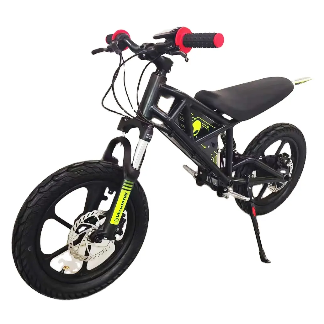 Nueva tecnología 2023 Venta caliente 500W Off Road Fishbone Youth Electric Dirt Bike para niños Niños