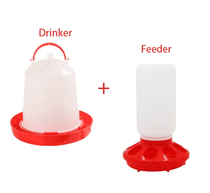 QA Hot Sell Baby Chick Feeder and Waterer Kit Comedero y bebedero <span class=keywords><strong>para</strong></span> aves de corral <span class=keywords><strong>para</strong></span> pollo Pigoen codorniz - Product Image 1