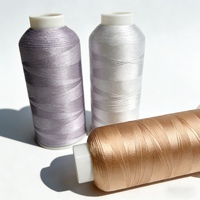1680 Warna 100% Viscose Rayon Filamen Benang Bordir Ramah Lingkungan Berkekuatan Tinggi Benang Sutra Berwarna 120D-300D untuk Sulaman Silang