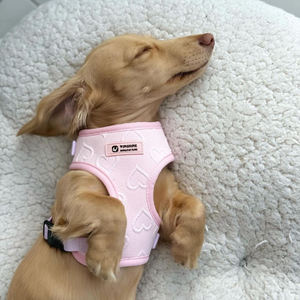 Arnés <span class=keywords><strong>Original</strong></span> para Perro de Pecho Suave de Malla con Corazón de Terciopelo Rosa, Logo de Goma Personalizado, Collar Ajustable, Soporte para Bolsas de Excremento y Correas para Mascotas - Product Image 5