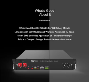 Batería de Litio de Alta Calidad <span class=keywords><strong>Dyness</strong></span> Modelo <span class=keywords><strong>B4850</strong></span>, 48V 50AH 2.4kWh, Bajo Voltaje LiFePO4 para Uso Doméstico - Product Image 4