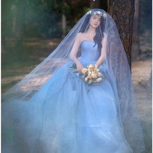 Blue Strapless Tulle Wedding Dress Empire Waistline With Train For Forest Theme Wedding - Product Image 5
