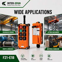 Interrupteur à distance sans fil INTER-SPAN F21-E1B 315 MHz pour grue à usage industriel, 8 boutons, garantie 1 an, portée 100 m
