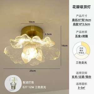 Petalo arte creativa francese retrò lampada da soffitto pendente per corridoio d'ingresso - Product Image 5