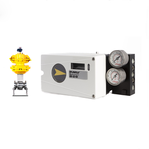 New and Original PMV D20 Digital WIth Shanghai Dianjian - Product Image 3
