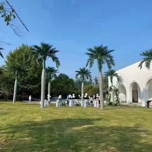 ต้นปาล์มเทียมพลาสติก สูง 3 เมตร ทนรังสียูวี ทนทาน เป็นมิตรกับสิ่งแวดล้อม ตกแต่งภายในและภายนอกอาคาร สำหรับเทศกาลอีสเตอร์ - Product Image 3