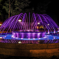 Fuente musical de lujo para exteriores con luces LED programables para lagos, estanques y plazas urbanas