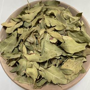 Hojas de Dogbane (Luo Bu Ma Ye), Planta Herbal China, Hojas de Apocynium Veneti, Hierbas Naturales para la Presión Arterial - Product Image 5