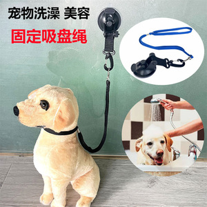 Pet Leash Holder With Suction Cup Anti Scratch Dog Bathing Grooming <b>Tool</b> Black - Product Image 2