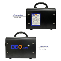 Générateur d'ozone portable 20g/30g/40g/50g avec minuterie, purificateur d'air pour chambres d'hôtel, élimine les odeurs de fumée des espaces intérieurs