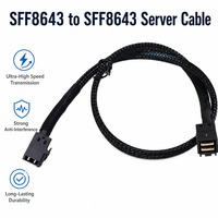 Cable de Expansión para Servidor HDD, Mini SAS HD SFF-8643 a SFF-8643, 48Gbps, Alta Velocidad, Doble Blindaje, Anti-Interferencia