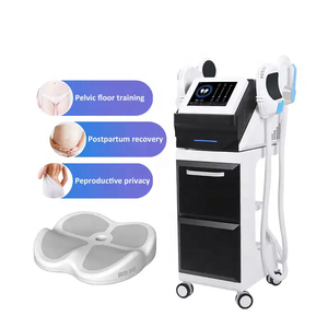 <strong>2026</strong> Fast Delivery Fitness Slimming Buttocks Lifting <strong>Massage</strong> <strong>Fat</strong> <strong>Burning</strong> Ems Body Sculpting Device - Product Image 5