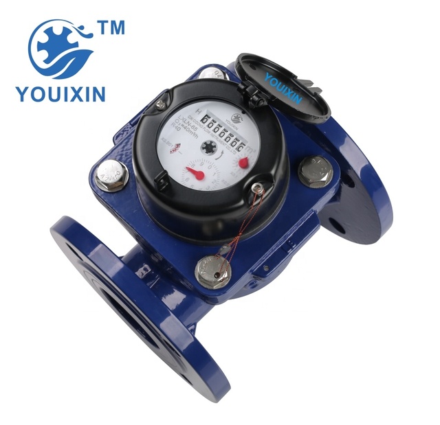 YOUIXIN IP68 Mechanical Water Meter Flanged Connectivity for Agricultural Irrigation Garden Management Water Resource Monitoring