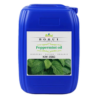 Huile essentielle de menthe poivrée 100% naturelle, huile pure de Mentha Spicata pour les soins des cheveux et de la peau