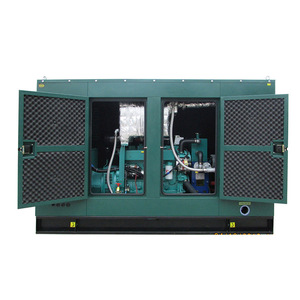 Generador de Gas Pulita 20-1500KW con Motor de GLP de Ahorro Energético para Uso en Estaciones - Product Image 2