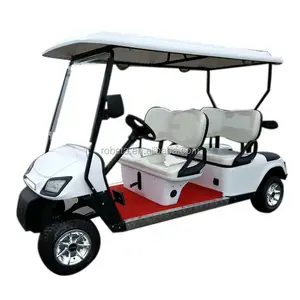 2-sitze 4 Sitzer Gas Golf Wagen Elektrische 4 Rad Stick Verwendet Golf Warenkorb in Europa