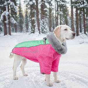 Produsen grosir mantel anjing tahan air hangat dengan kerah bulu kelinci - Product Image 5