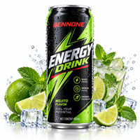 Boisson Énergisante Rafraîchissante au Caféine, Fournisseur Direct du Fabricant, Boisson Énergisante Gazeuse Type Mojito, OEM